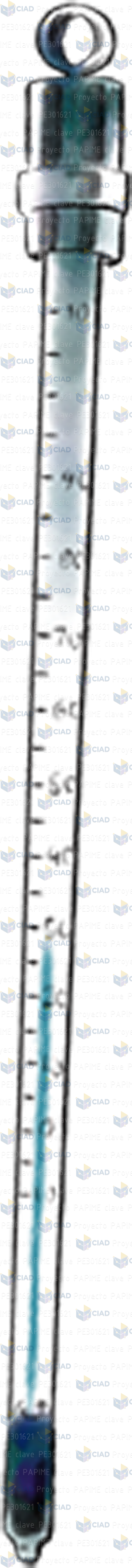 Termómetro de laboratorio