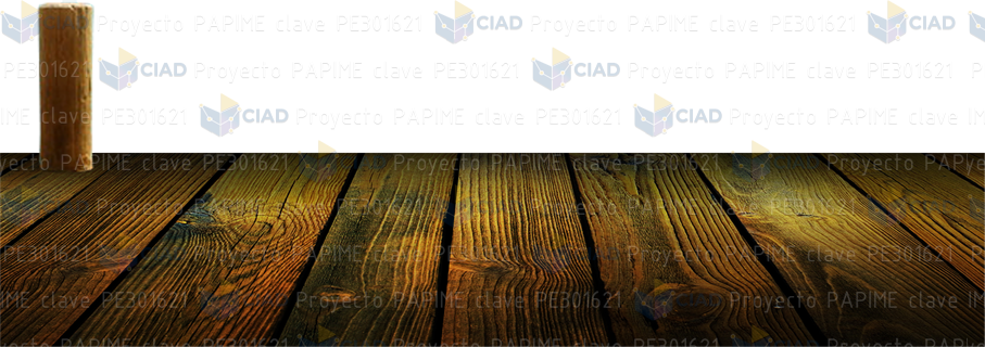 Muelle de madera