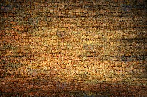 Pared de piedra