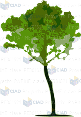 Árbol
