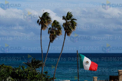Palmeras, mar y Bandera de México