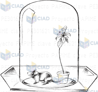 Experimento Priestley con planta