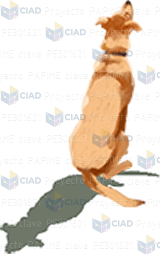 Perro sentado