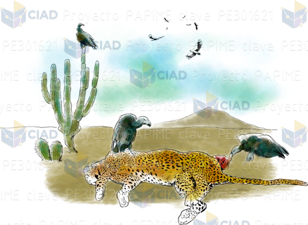 Desierto con jaguar muerto