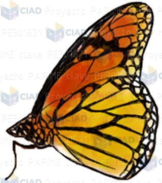 Mariposa