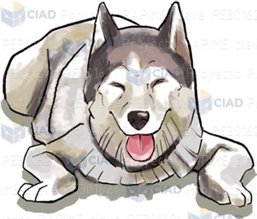 Perro