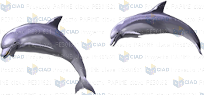 Delfines