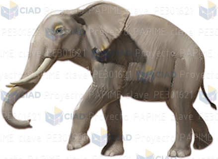 Elefante