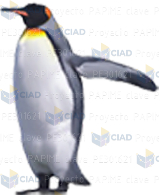 Pingüino aleta abierta