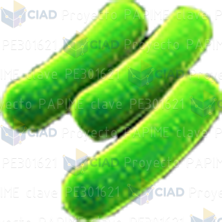 Bacterias verdes