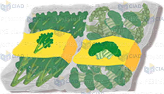 Bolsas de verduras