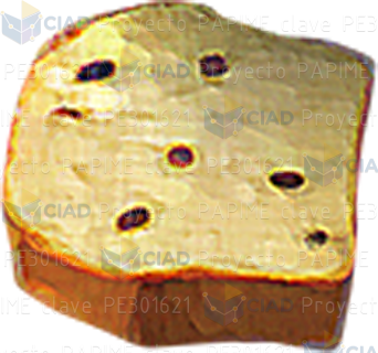 Rebanada de pan con chispas de chocolate