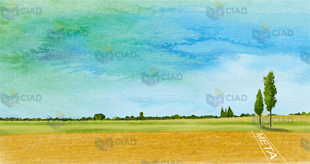 Pista de carreras en campo