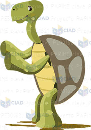 Tortuga parada hacia la izquierda