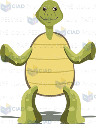Tortuga parada de frente